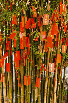 中國(guó)新年。
