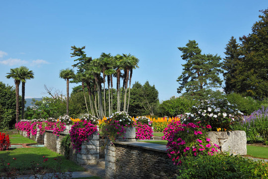 巨大的美麗的公園