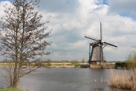 美麗的風車在春天；Kinderdijk；荷蘭