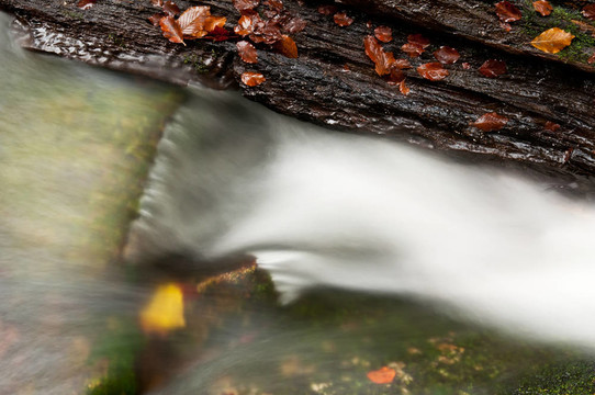 美麗的Autumnm Waterfall