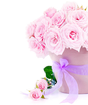 粉薔薇