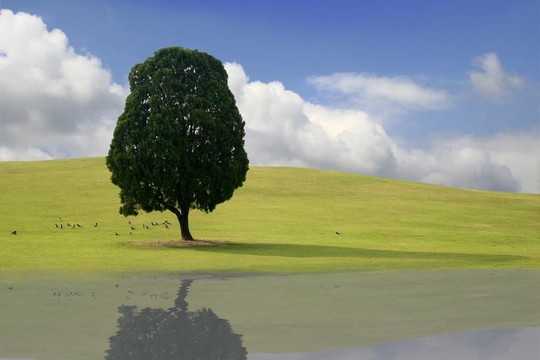 韓國春季景觀與反思