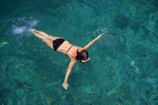 女人在海上浮潛的魚包圍