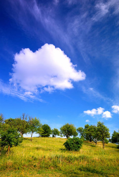 夏天的風(fēng)景