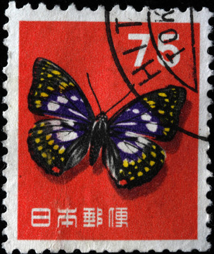 大紫蛺蝶