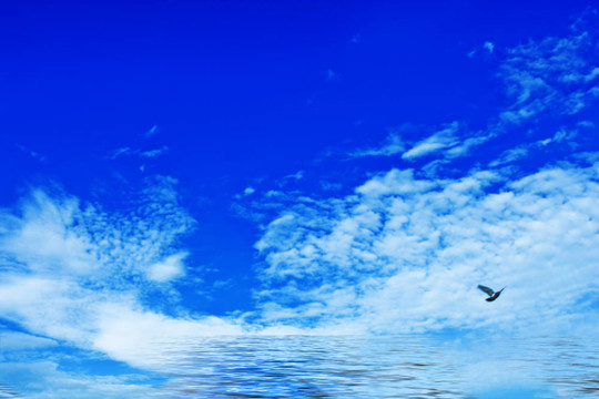 藍(lán)色的天空，寒冷的鳥