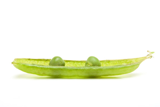 豆莢里的2顆豌豆