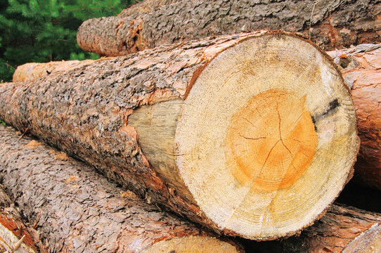 holzstapel - 32木棧