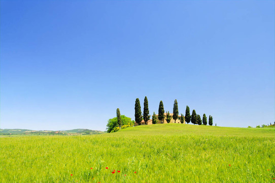 podere 17