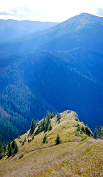 山坡