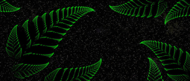 星光燦爛的夜晚