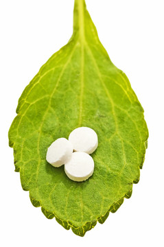 甜菊糖片；支持；