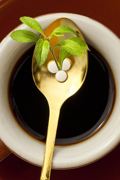 甜菊糖片；支持；
