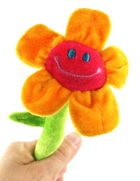 葵花在手