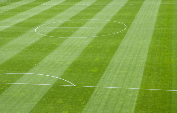 足球Field Grass