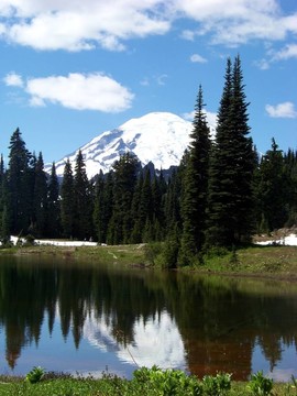 Mt Rainier的肖像