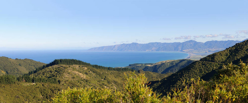 在新西蘭島北部海岸線的懷拉拉帕全景