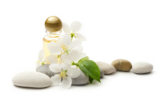 蘋果樹花；石頭和洗發(fā)水