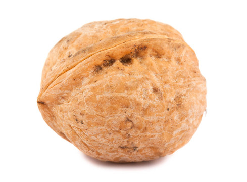 單一的核桃