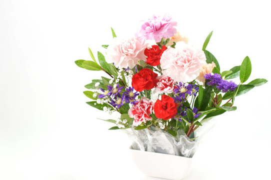 設(shè)置花