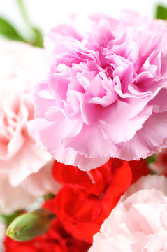 設(shè)置花