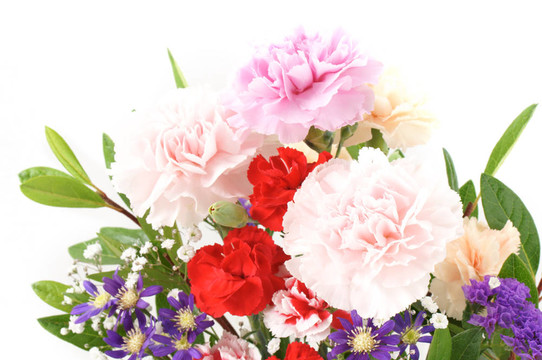 設(shè)置花