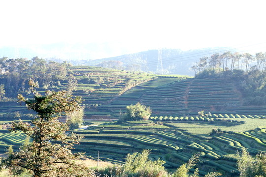 長龍風(fēng)景