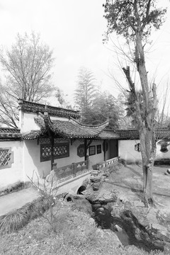古鎮(zhèn)老照片
