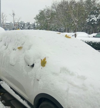 雪