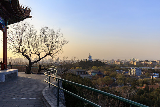 景山俯瞰市中心北海白塔