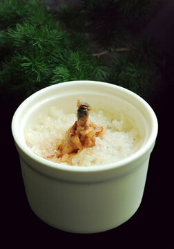 雞翅飯