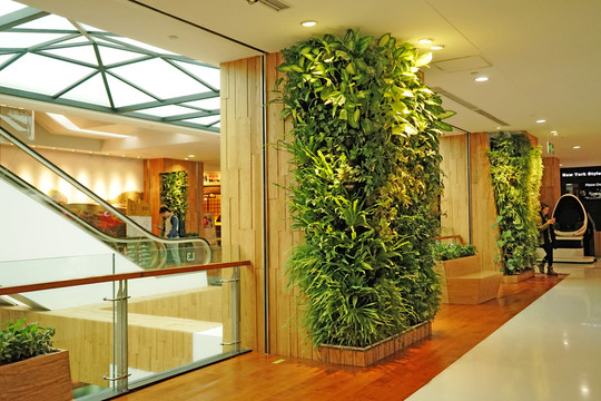 商場內(nèi)景 植物墻 植物造型