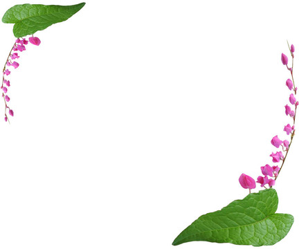 花框