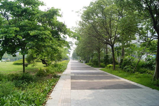 城市道路