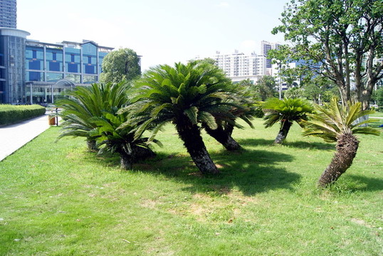景觀與建筑