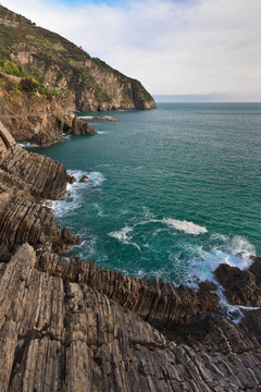 野生的海灘