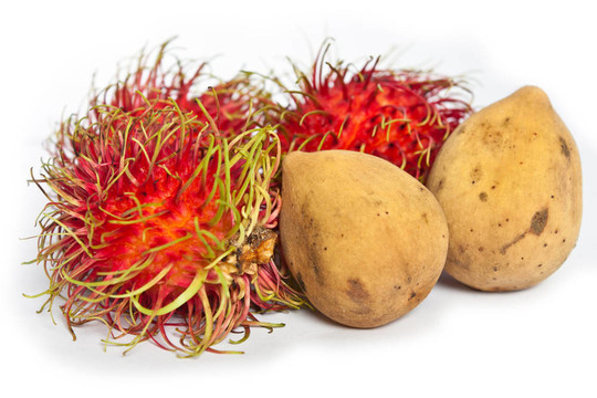 熱帶水果紅毛丹和Lansium domesticum