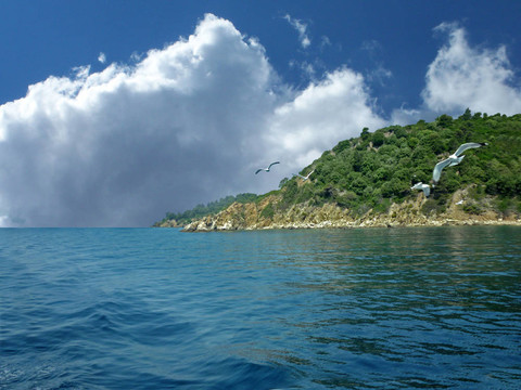 美麗的海島
