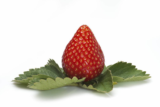 Strawberry與葉子。