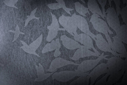 鳥抽象背景或紋理