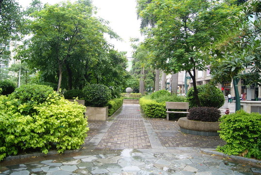 林蔭路