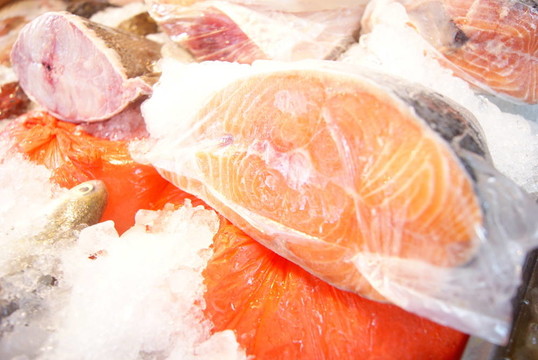 魚的肉