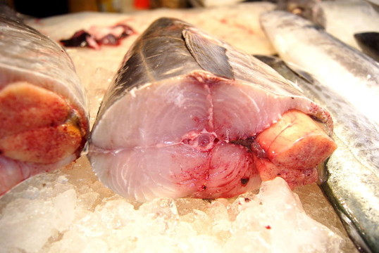魚的肉