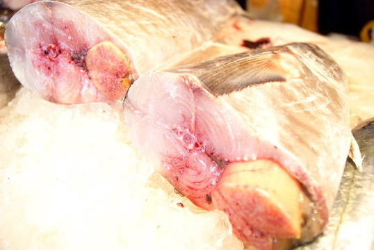 魚的肉
