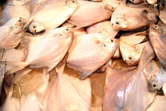 魚(yú)