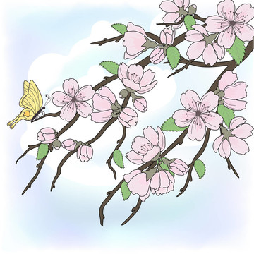 櫻花花枝