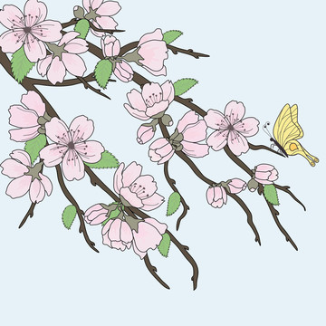 櫻花花枝