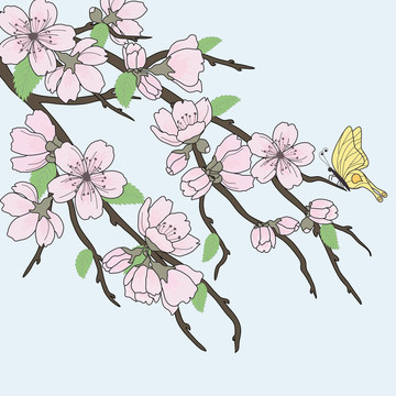 櫻花花枝