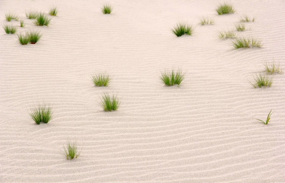 砂上的小玻璃