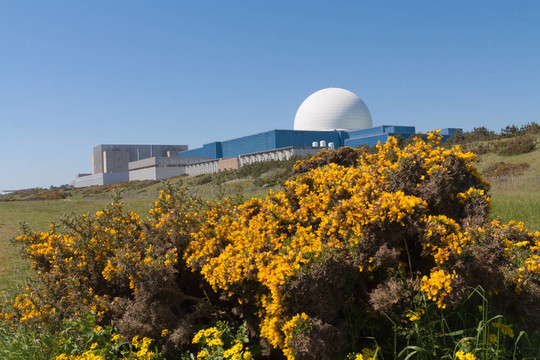 Sizewell B核電站；薩?？丝?；英國。
